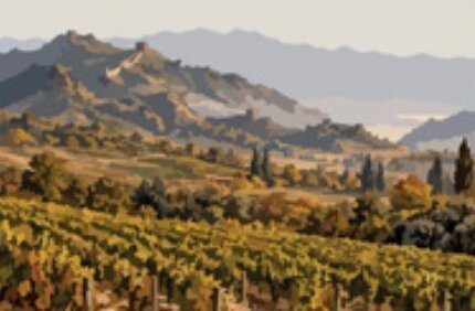 Illustration of vineyards in Hebei