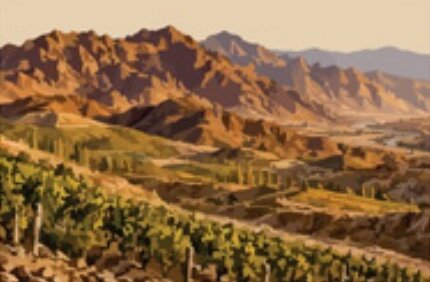 Illustration of vineyards in Ningxia